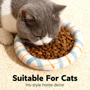 Whisker-Friendly Ceramic Cat Bowl