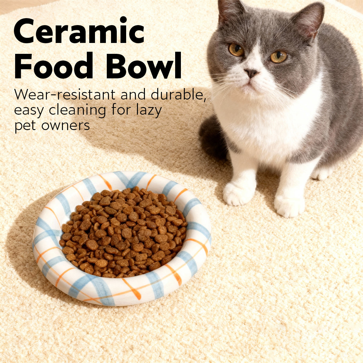 Whisker-Friendly Ceramic Cat Bowl