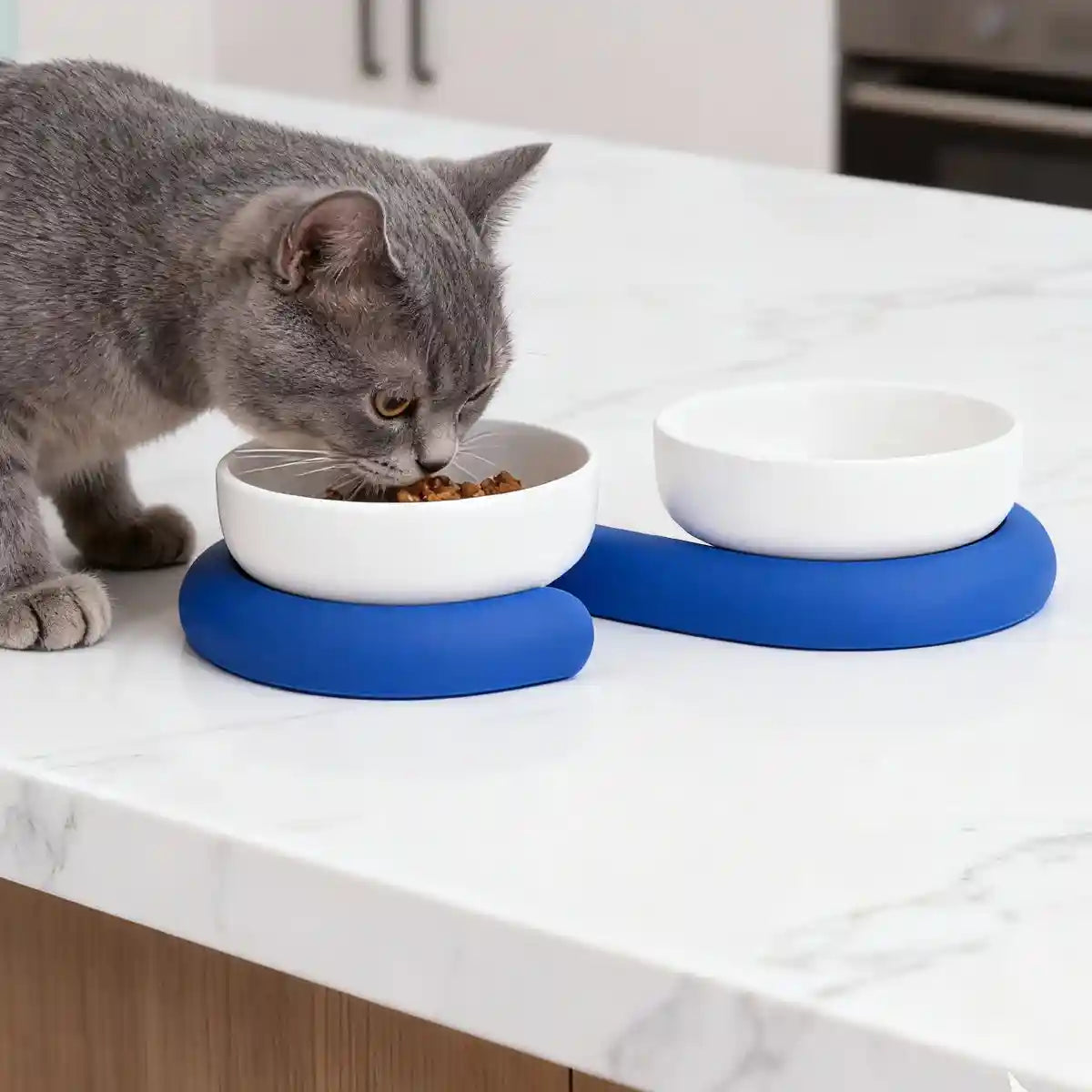 Ceramic Cat Bowl Set with Silicone Non-Slip Base