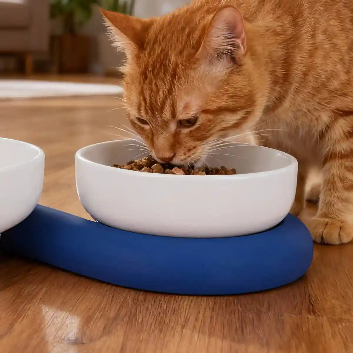 Ceramic Cat Bowl Set with Silicone Non-Slip Base