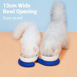 Ceramic Cat Bowl Set with Silicone Non-Slip Base