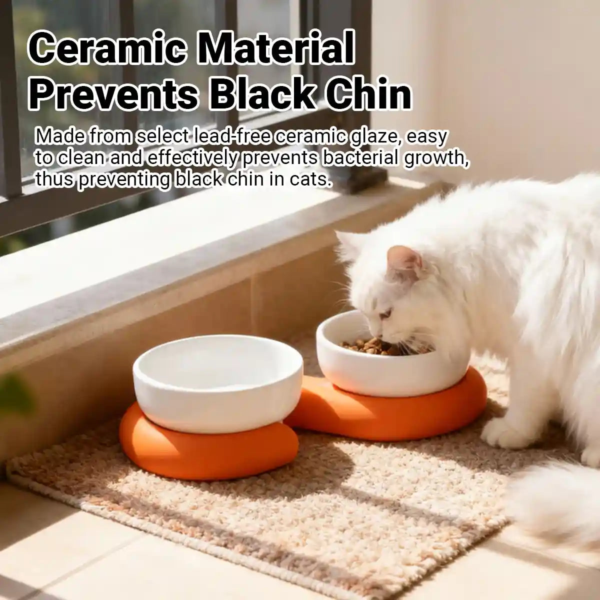 Ceramic Cat Bowl Set with Silicone Non-Slip Base
