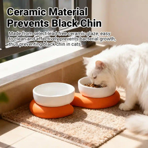 Ceramic Cat Bowl Set with Silicone Non-Slip Base