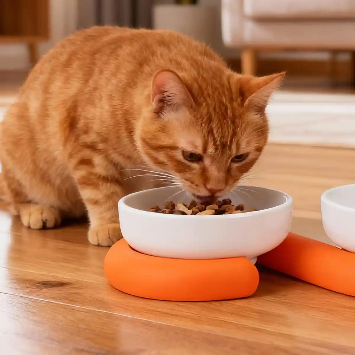 Ceramic Cat Bowl Set with Silicone Non-Slip Base