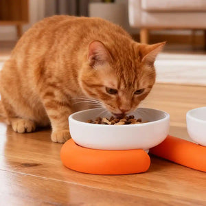 Ceramic Cat Bowl Set with Silicone Non-Slip Base