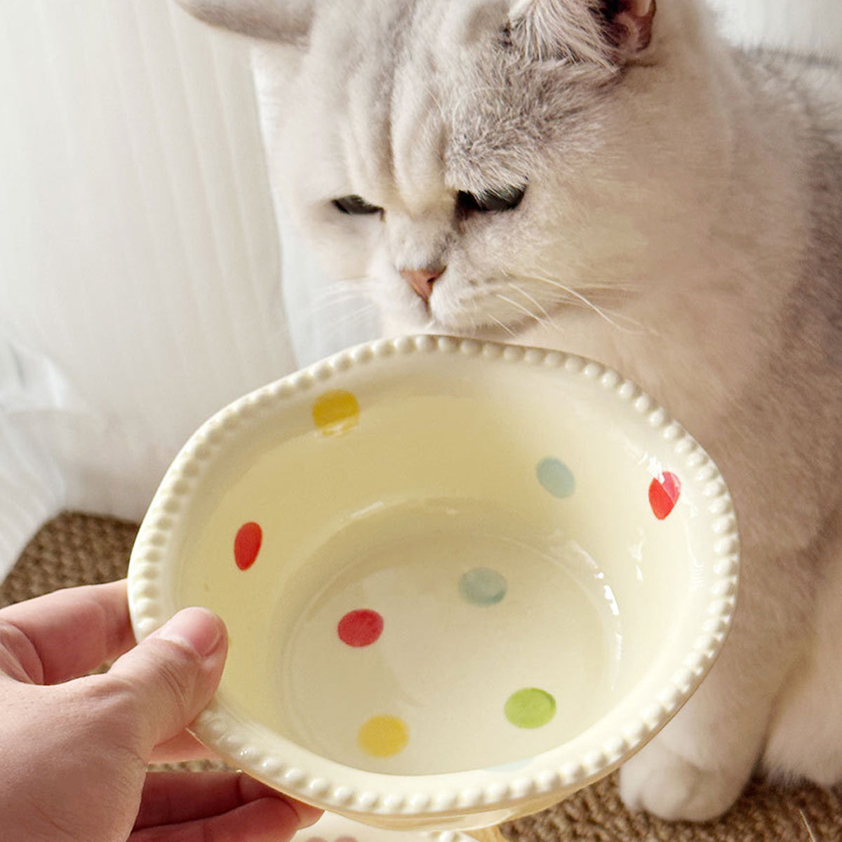 Ceramic Pet Bowl With Elevated Wooden Stand Hygienic & Stable Feeder