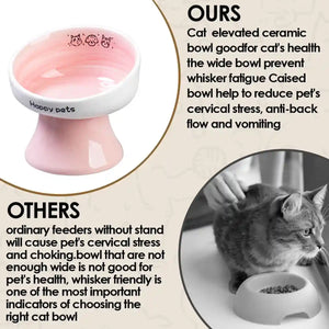 Ceramic Raised Cat Bowl with 15° Tilted Design