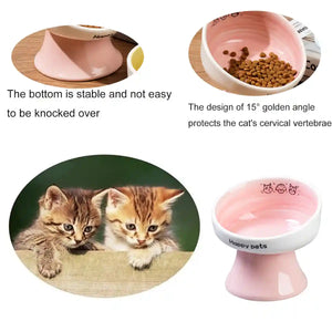 Ceramic Raised Cat Bowl with 15° Tilted Design