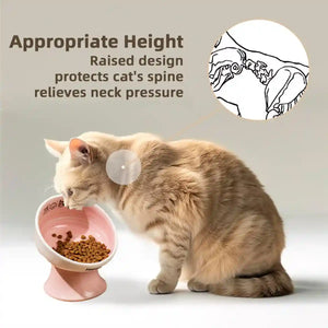 Ceramic Raised Cat Bowl with 15° Tilted Design
