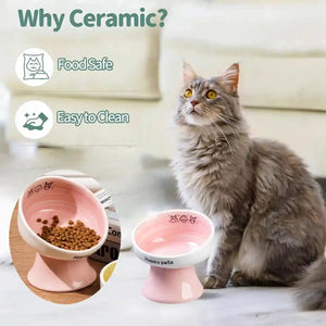Ceramic Raised Cat Bowl with 15° Tilted Design