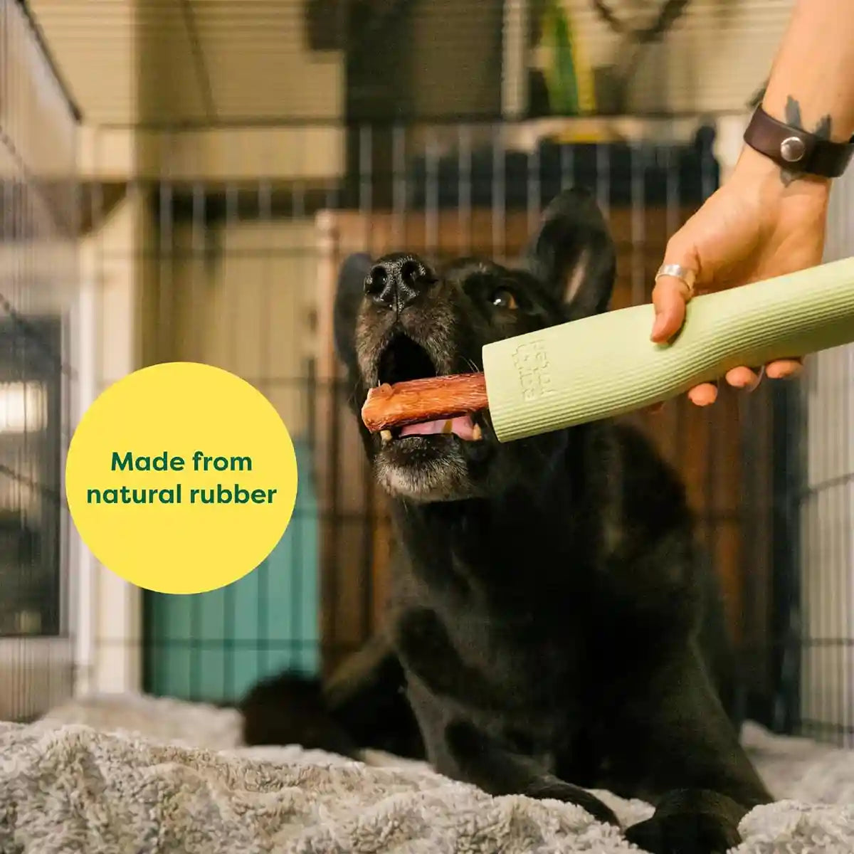 Earth Rated Natural Rubber Dog Chew Toy Durable Treat Dispenser for Interactive Play