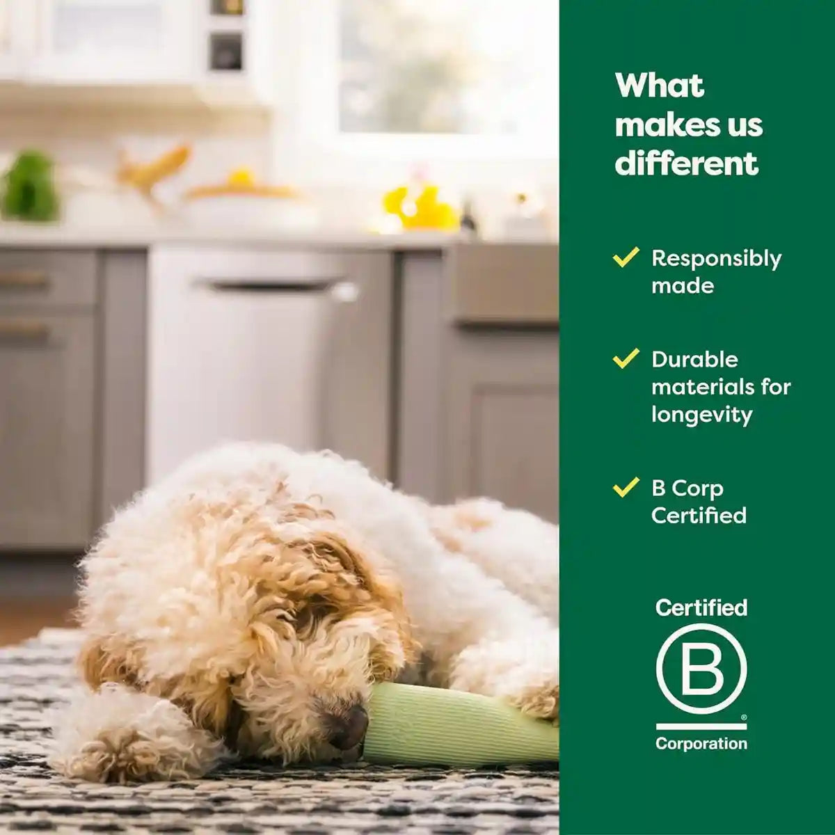 Earth Rated Natural Rubber Dog Chew Toy Durable Treat Dispenser for Interactive Play