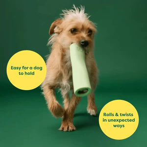 Earth Rated Natural Rubber Dog Chew Toy Durable Treat Dispenser for Interactive Play
