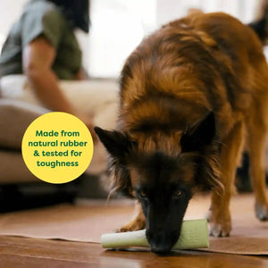 Earth Rated Natural Rubber Dog Chew Toy Durable Treat Dispenser for Interactive Play