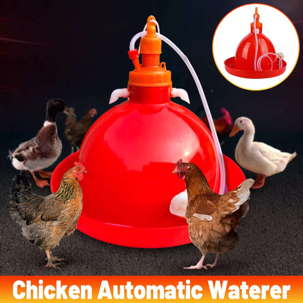 Automatic Poultry Waterer With Hose 40cm