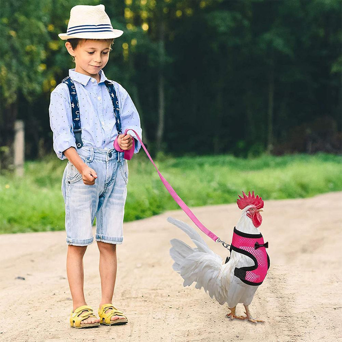 Adjustable Chicken Harness with Leash Breathable Mesh Vest for Poultry