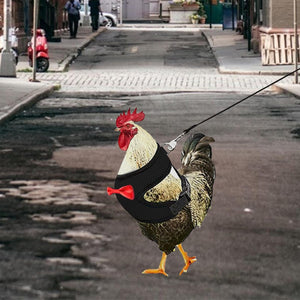 Adjustable Chicken Harness with Leash Breathable Mesh Vest for Poultry