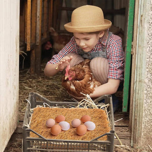 Chicken Nesting Pads Reusable Coop Mat