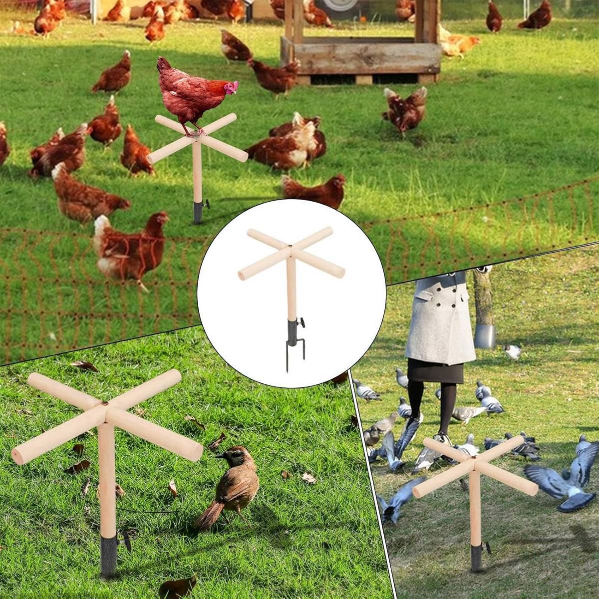 Chicken Perch Stand Outdoor Chicken Roosting Stand