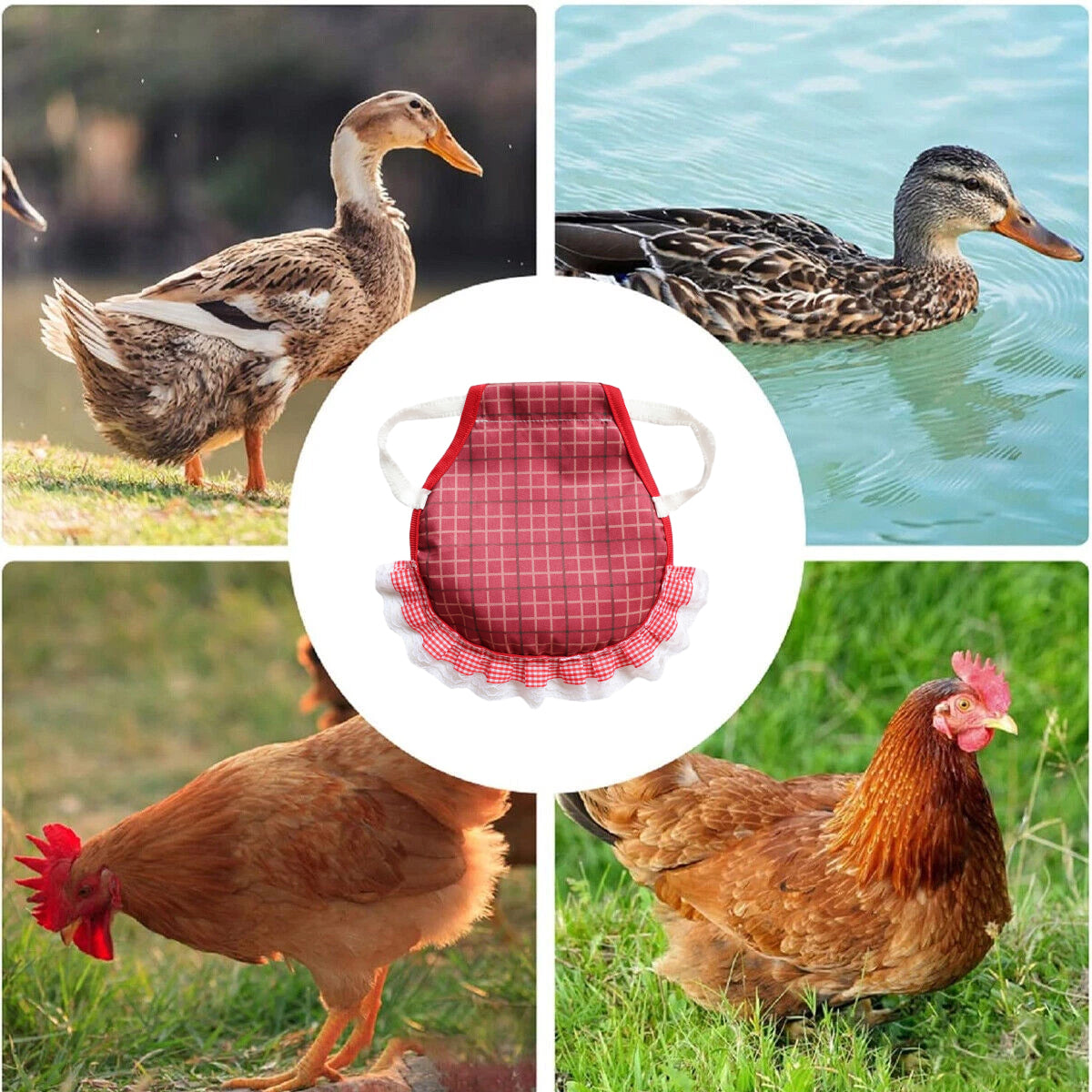 5 Pack Adjustable Chicken Saddle Aprons with Lace Trim