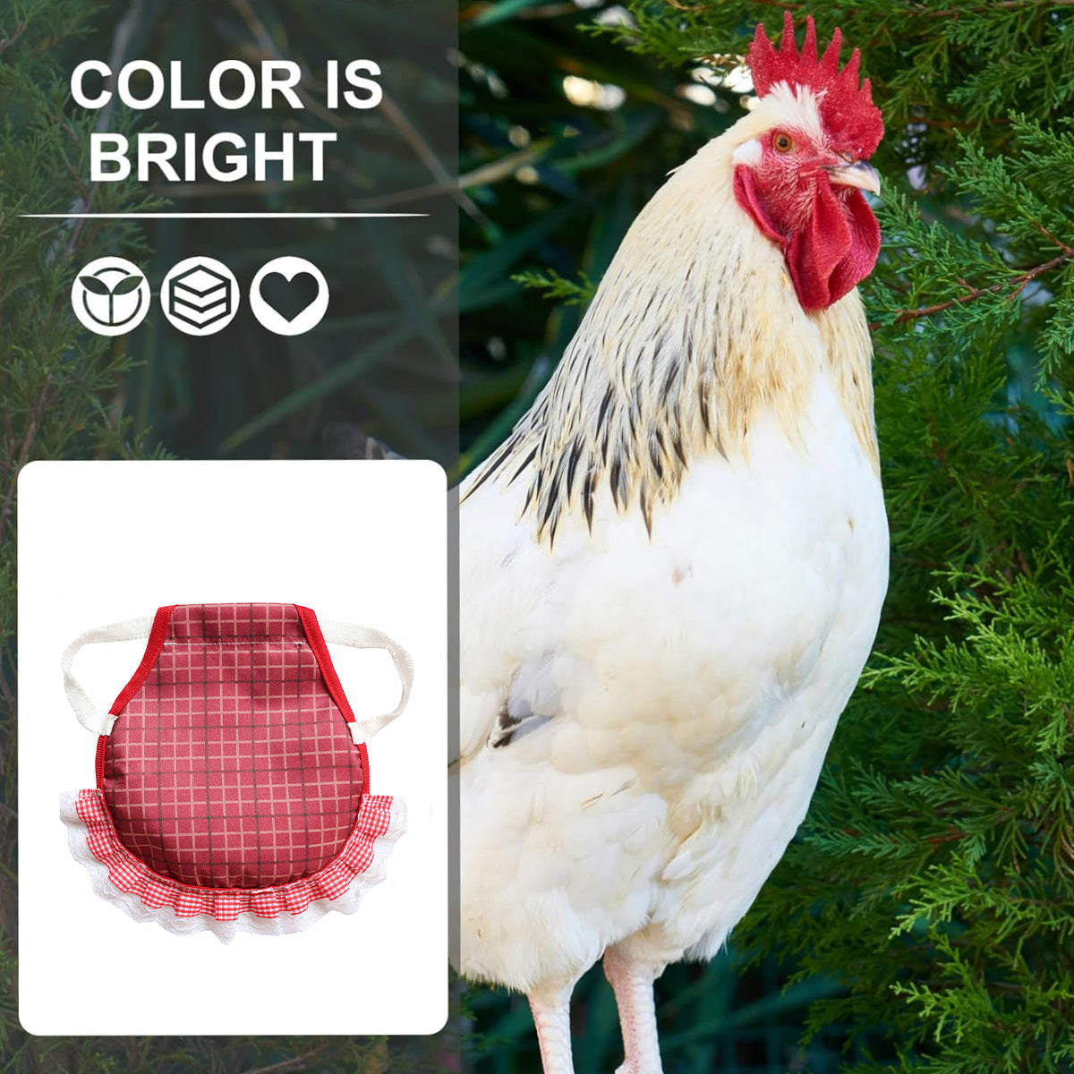 5 Pack Adjustable Chicken Saddle Aprons with Lace Trim