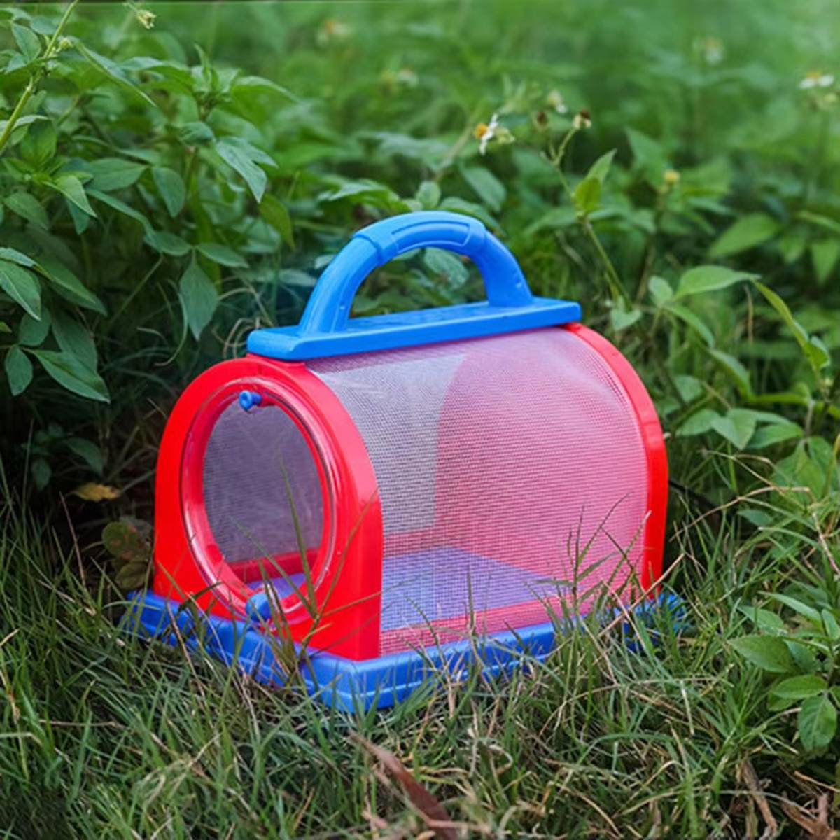Kids' Insect Observation Cage - Transparent Bug Catcher Toy for Children