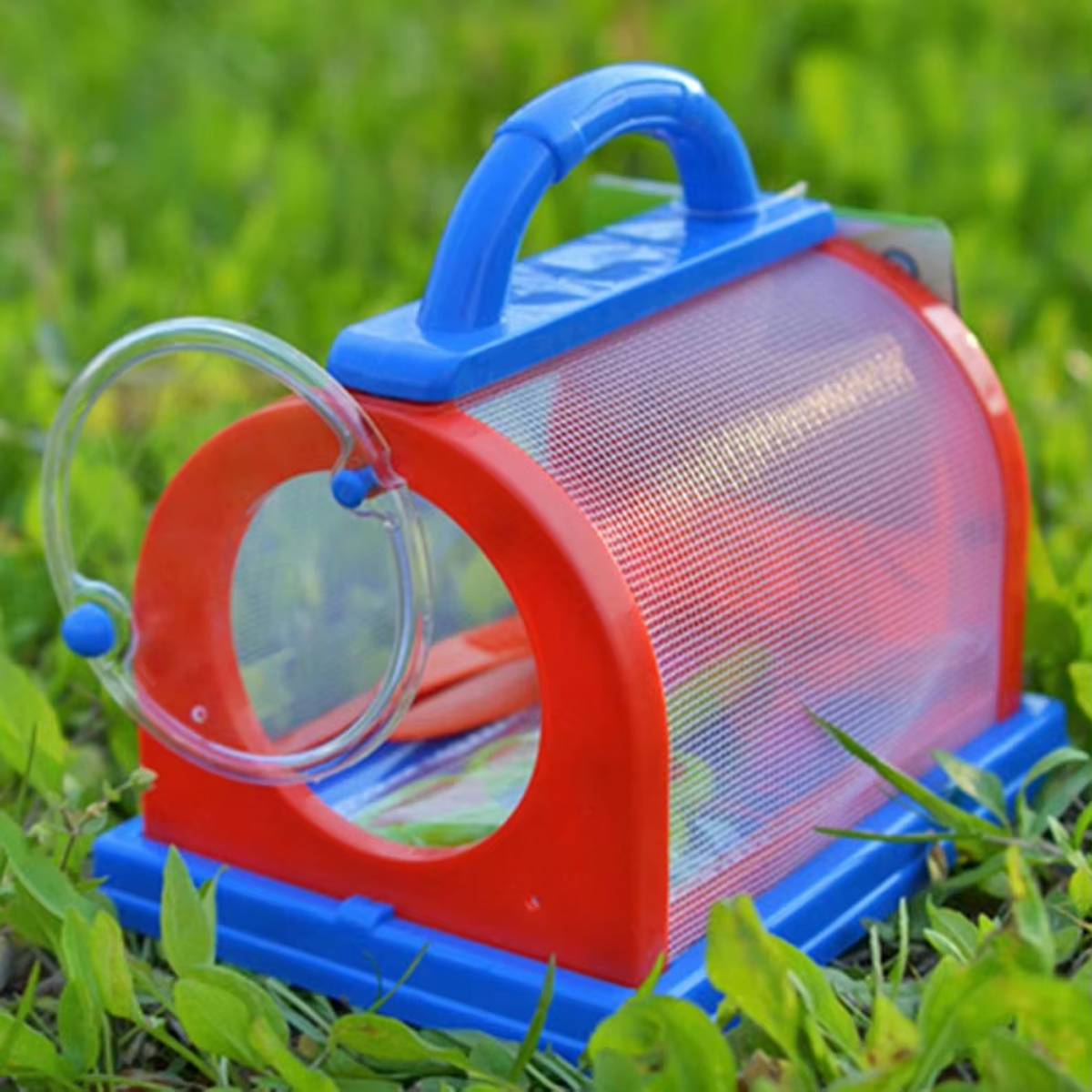 Kids' Insect Observation Cage - Transparent Bug Catcher Toy for Children