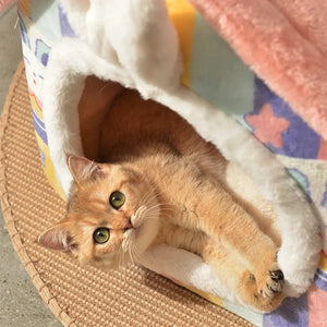 Pet Villa Cat House