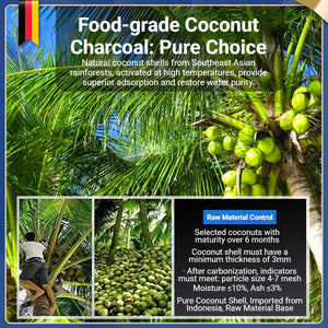 Coconut Shell Activated Carbon for Aquarium Filtration