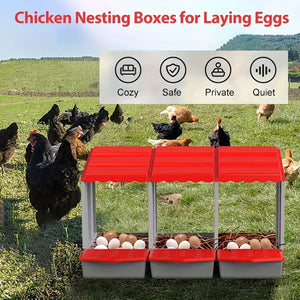 3-Compartment Chicken Nesting Box | Egg Laying Coop for Poultry