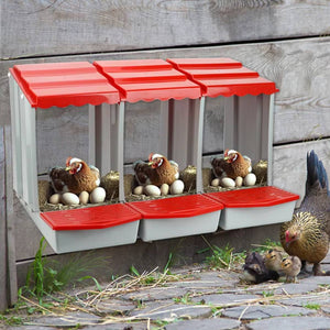 3-Compartment Chicken Nesting Box | Egg Laying Coop for Poultry