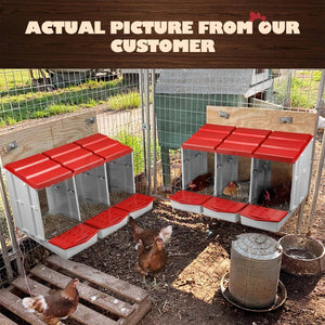 3-Compartment Chicken Nesting Box | Egg Laying Coop for Poultry