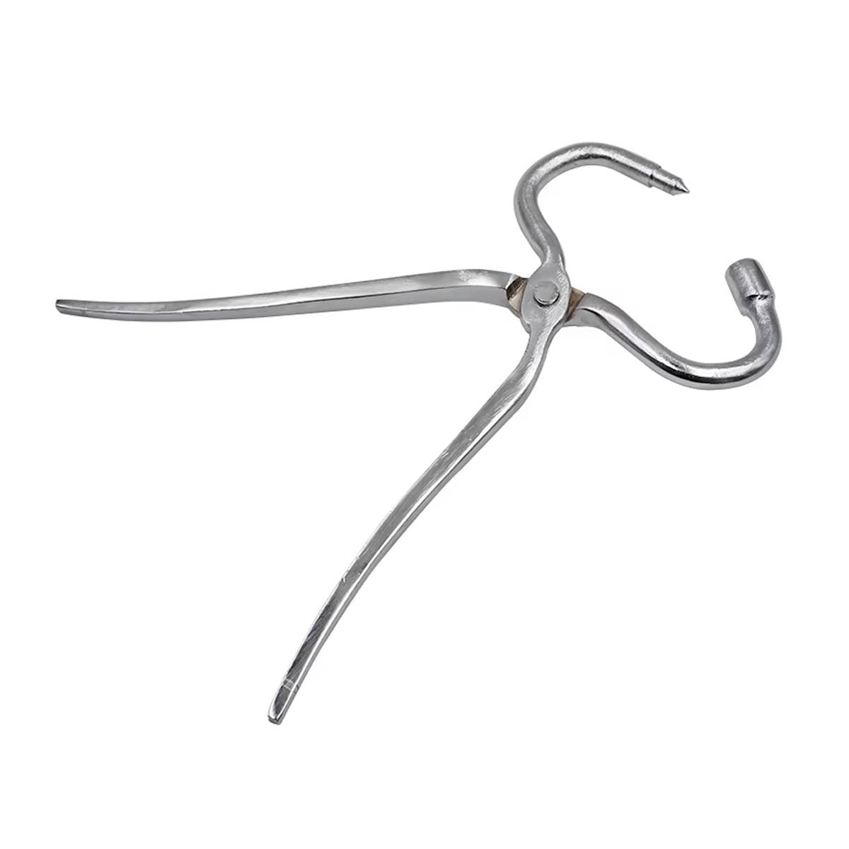 Cow Nose Piercing Pliers