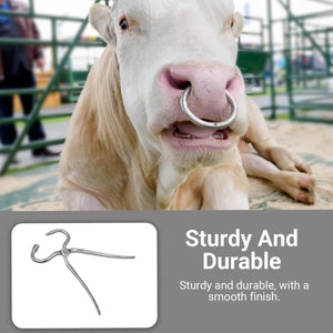 Cow Nose Piercing Pliers