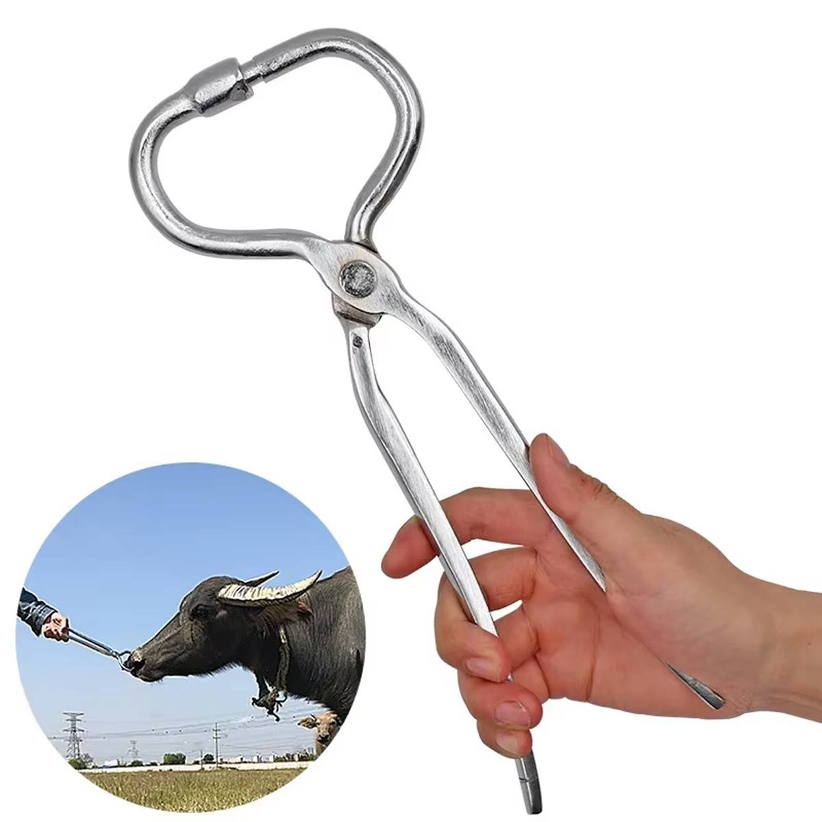 Cow Nose Piercing Pliers