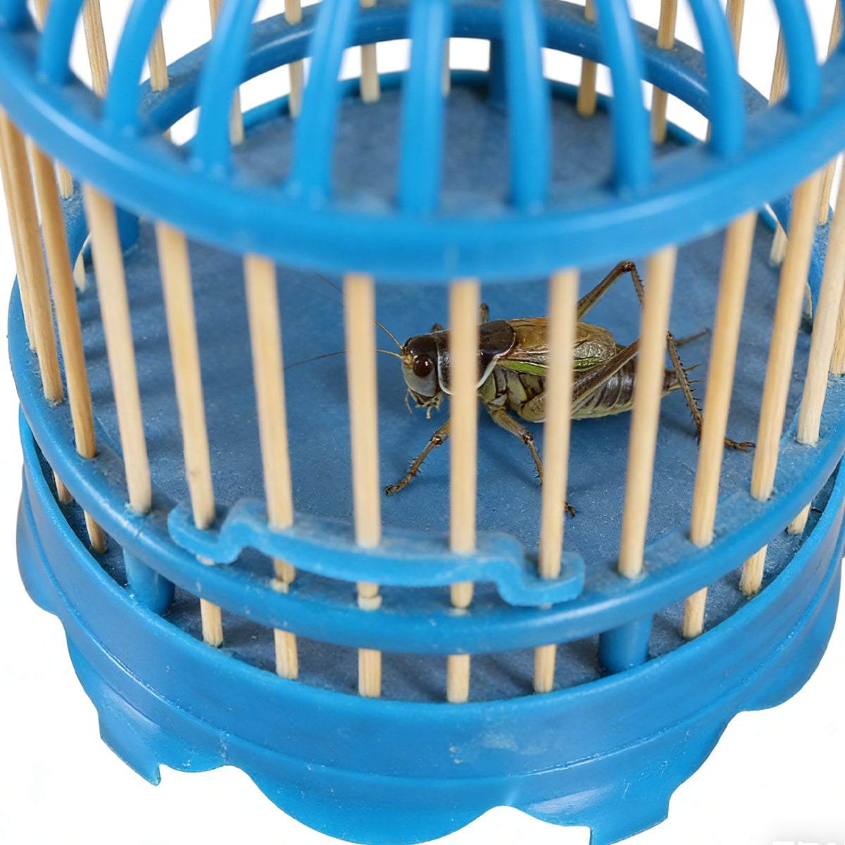 Insect Cage Hanging Plastic Breeding Cage