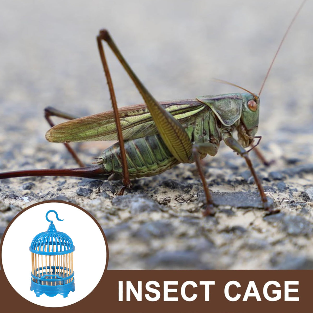 Insect Cage Hanging Plastic Breeding Cage