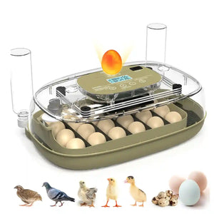 24 Egg Incubator Auto Turn Humidity Display Water Refill