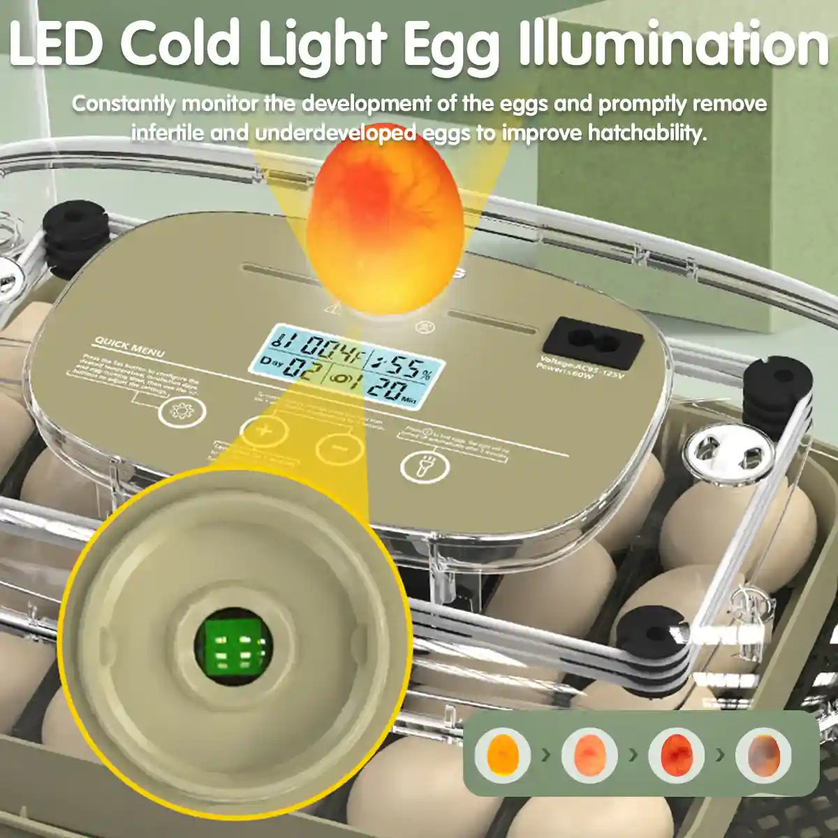24 Egg Incubator Auto Turn Humidity Display Water Refill