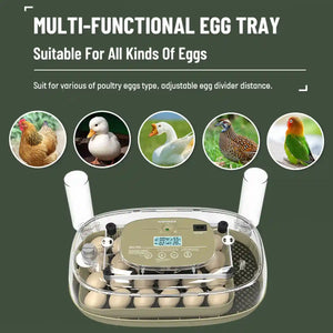24 Egg Incubator Auto Turn Humidity Display Water Refill