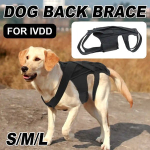 Dog Back Support Brace Full-Length Spinal Support Vest