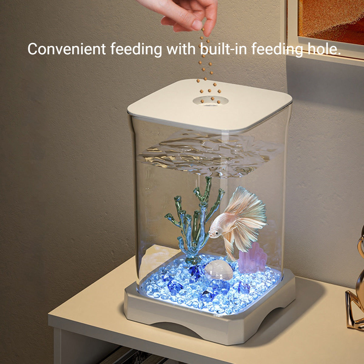 Desktop Fish Tank With LED Light