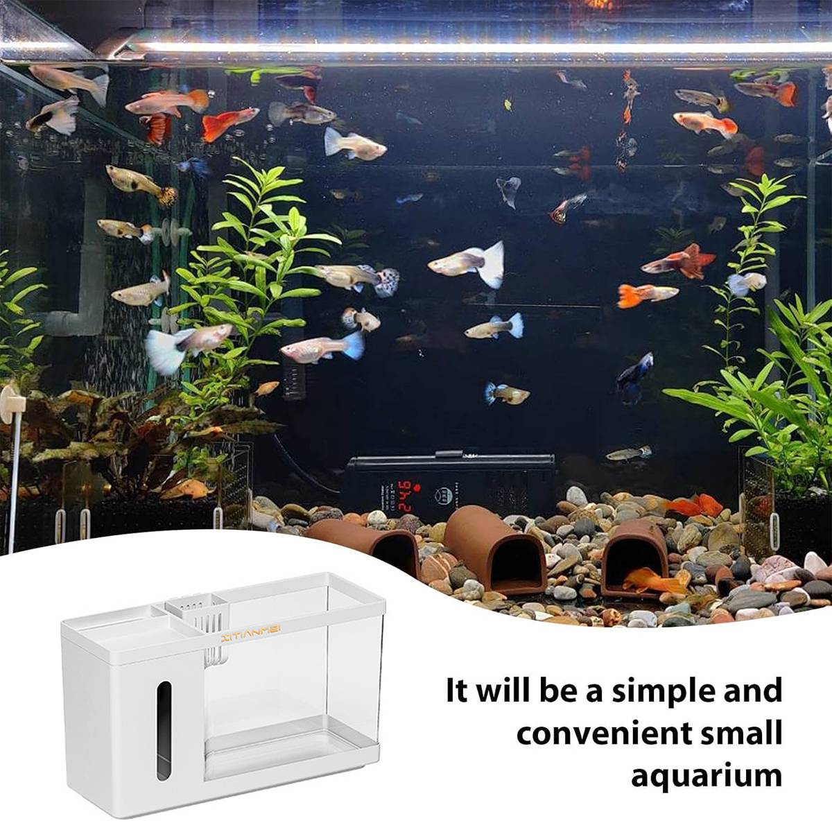 Desktop Aquarium - Mini Office Fish Tank with Tissue Dispenser