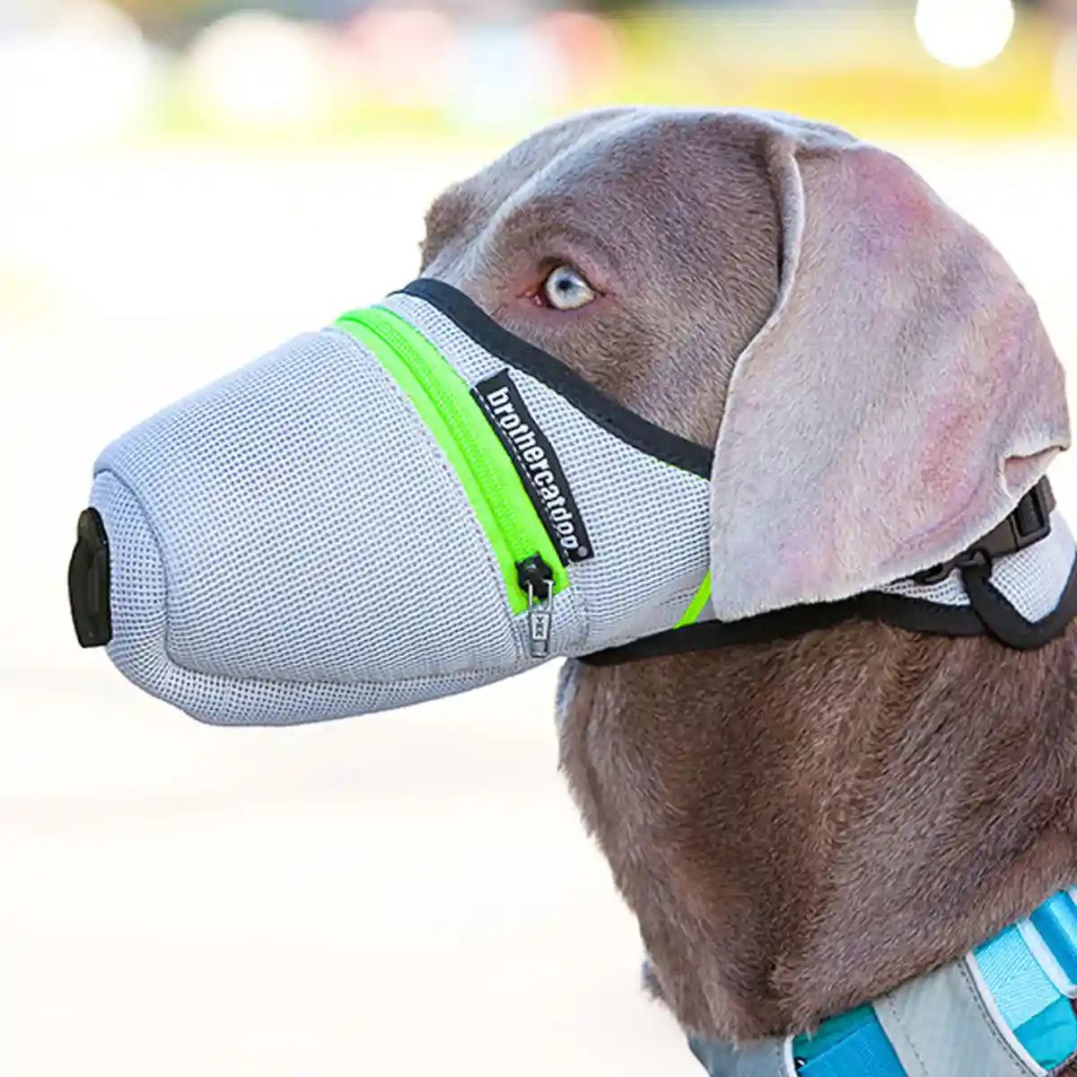 Dog Mask Breathable Adjustable Air Filter Muzzle for Pets
