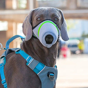 Dog Mask Breathable Adjustable Air Filter Muzzle for Pets