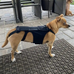 Dog Back Support Brace Full-Length Spinal Support Vest