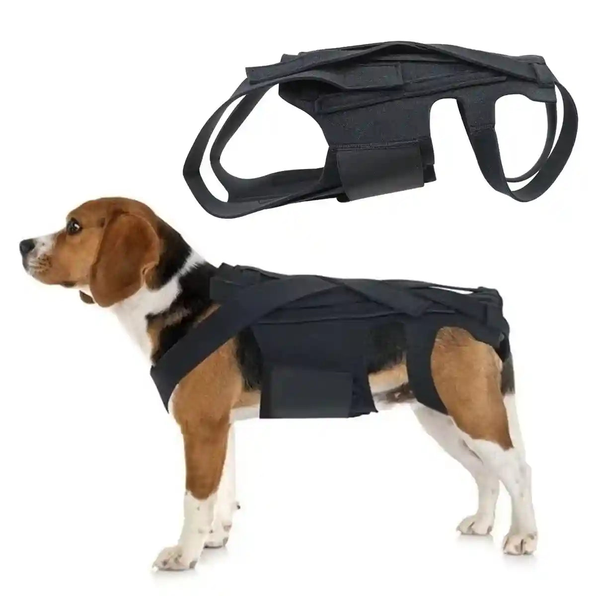 Dog Back Support Brace Full-Length Spinal Support Vest
