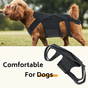 Dog Back Support Brace Full-Length Spinal Support Vest
