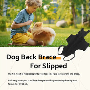 Dog Back Support Brace Full-Length Spinal Support Vest