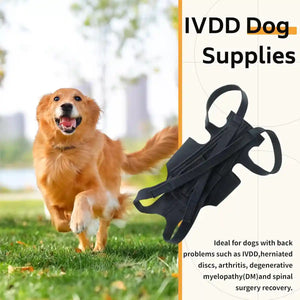 Dog Back Support Brace Full-Length Spinal Support Vest